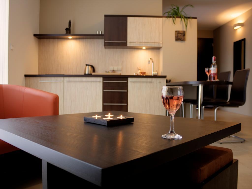 Puenta Aparthotel Krynica Zdroj Δωμάτιο φωτογραφία